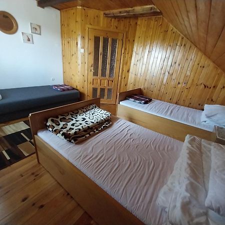 Wypoczynek Kocia Gora Villa Dziemiany Exterior foto