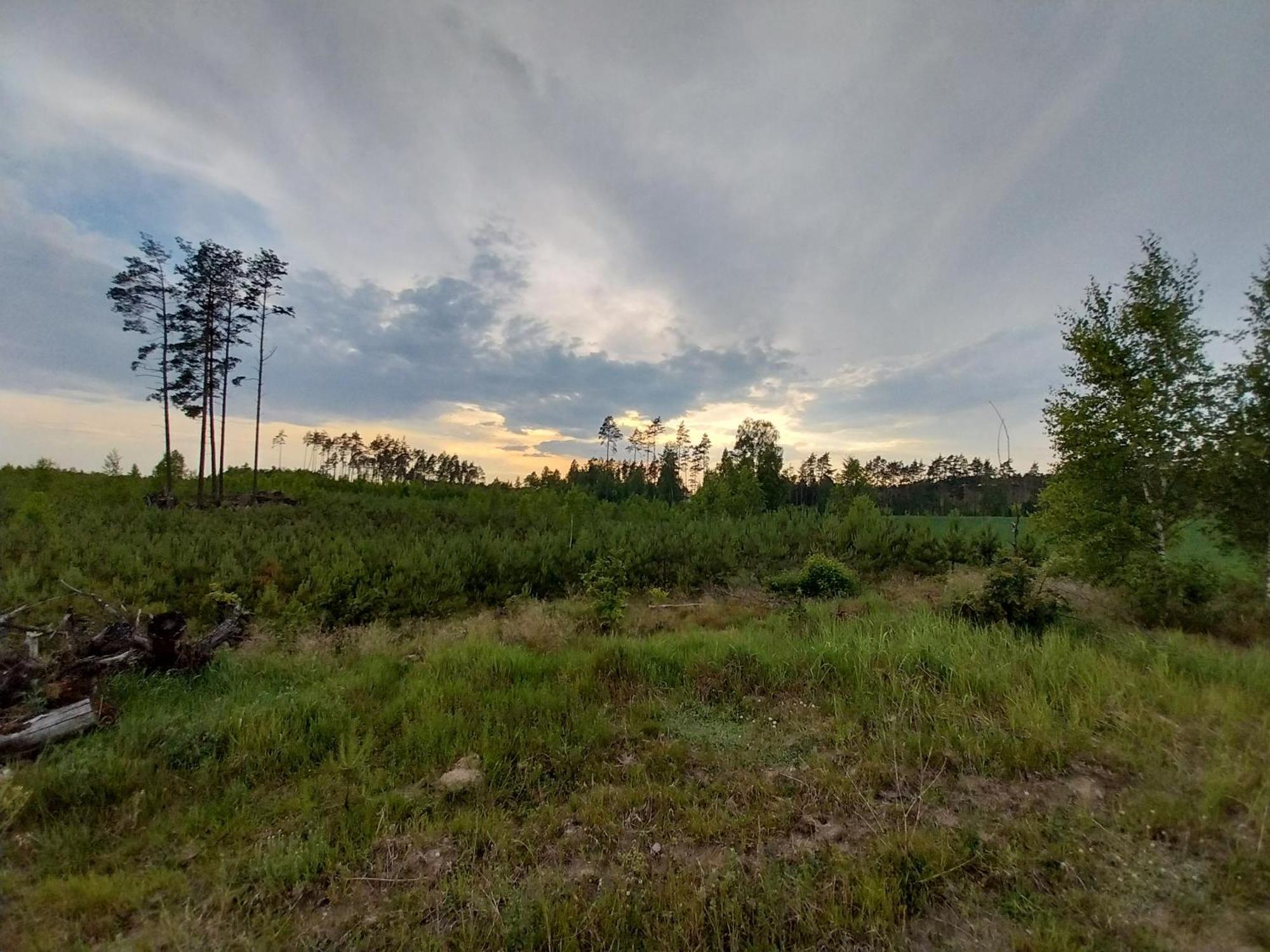 Wypoczynek Kocia Gora Villa Dziemiany Exterior foto