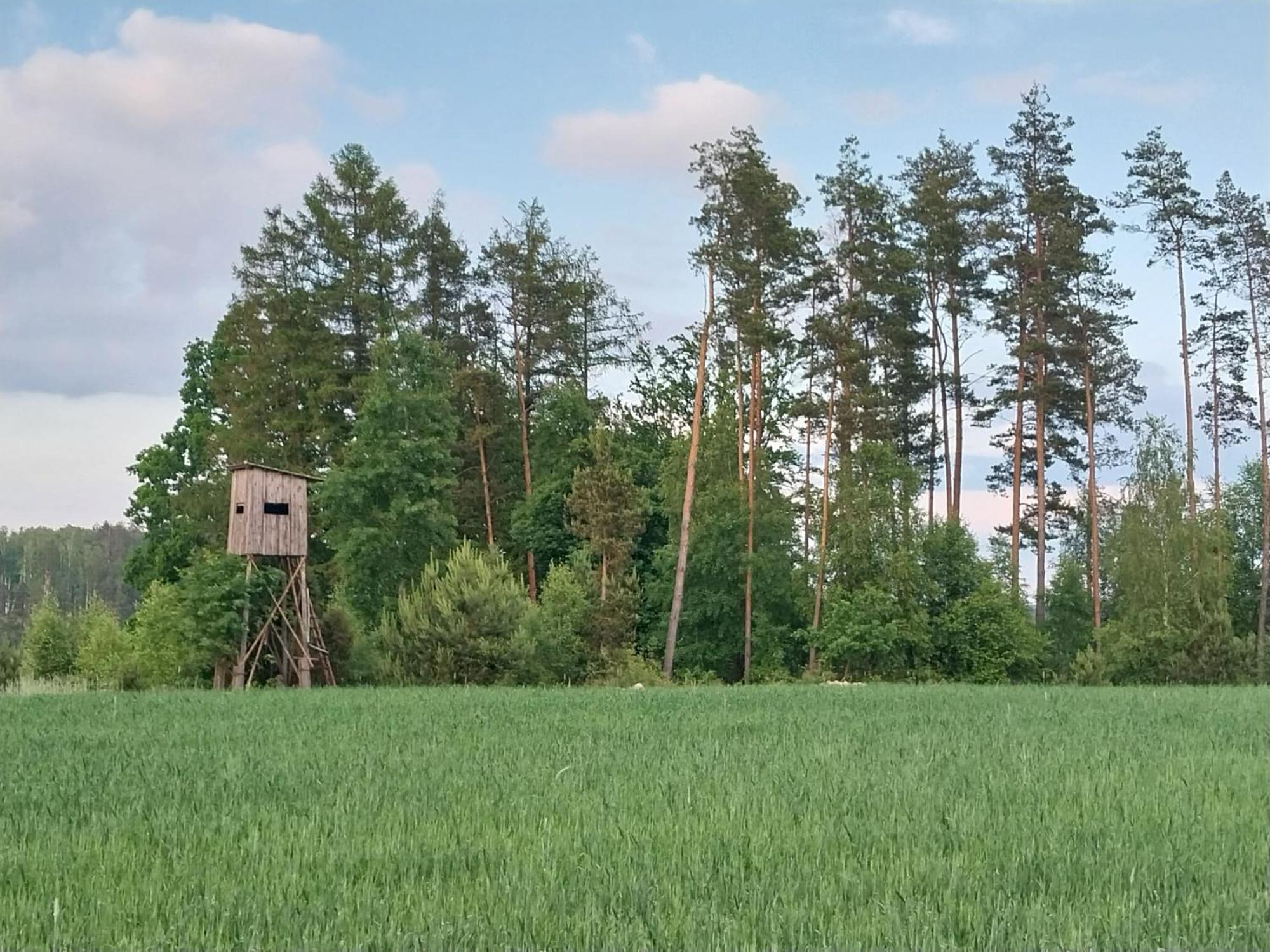 Wypoczynek Kocia Gora Villa Dziemiany Exterior foto