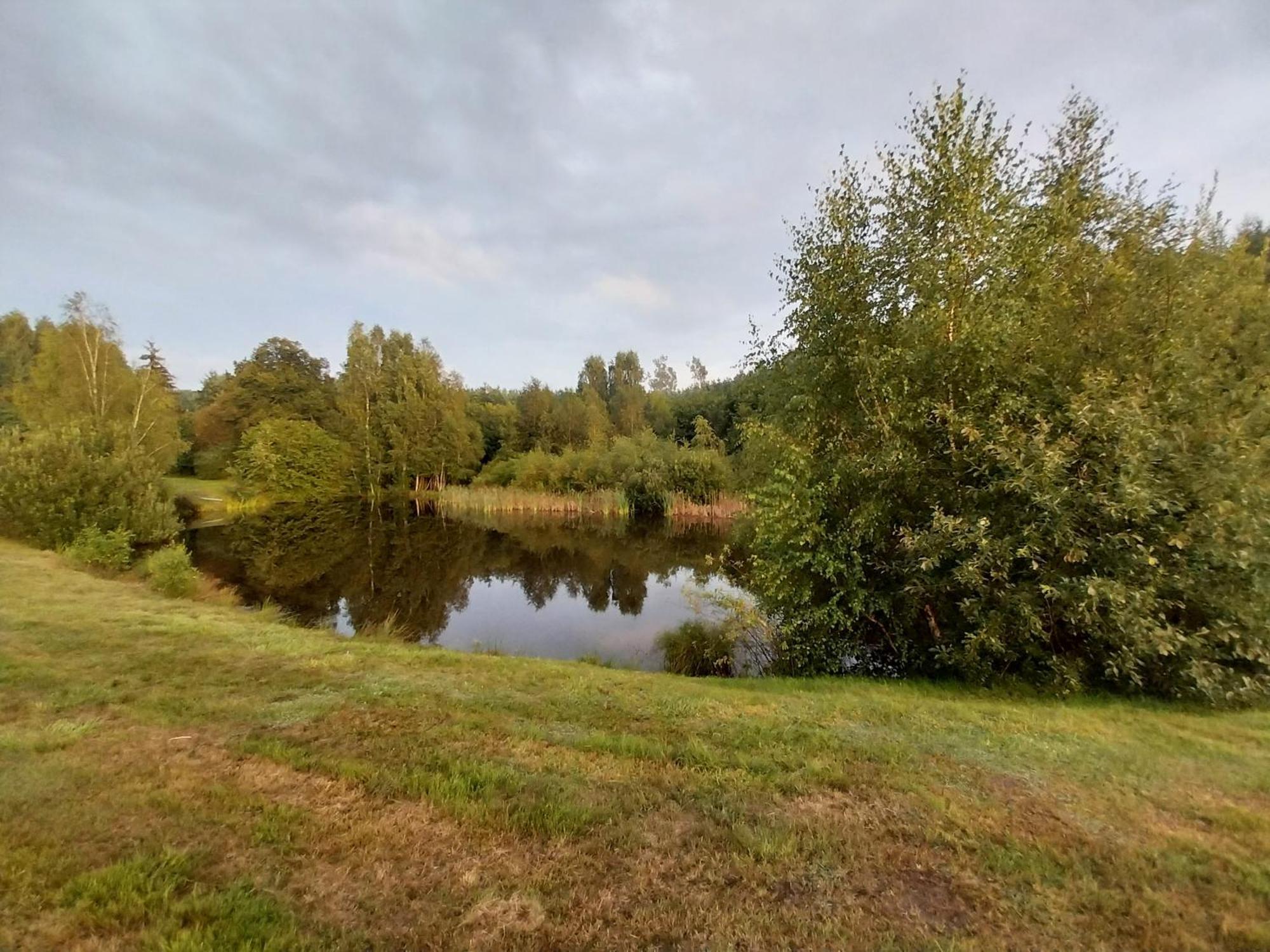 Wypoczynek Kocia Gora Villa Dziemiany Exterior foto
