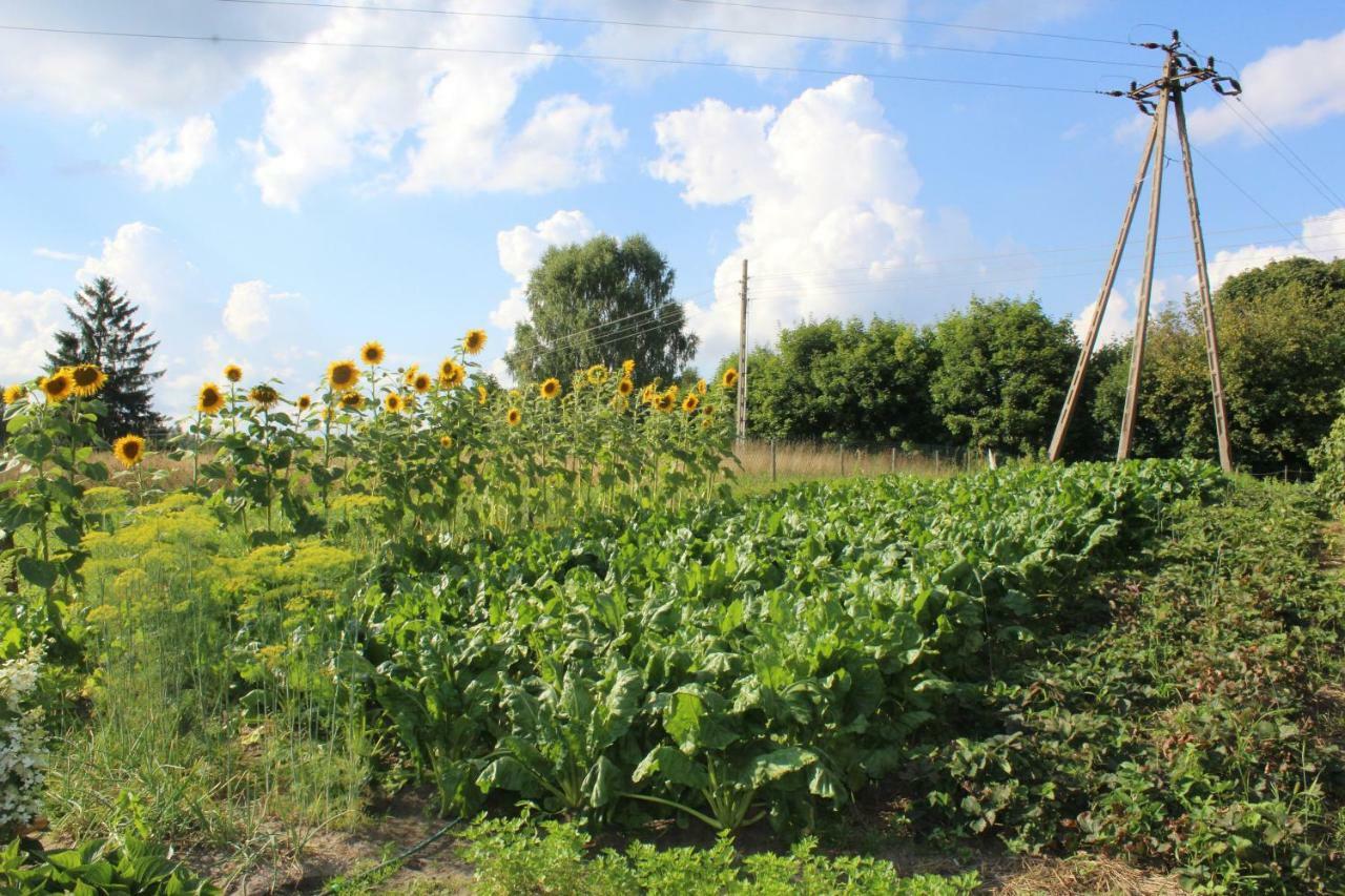 Wypoczynek Kocia Gora Villa Dziemiany Exterior foto